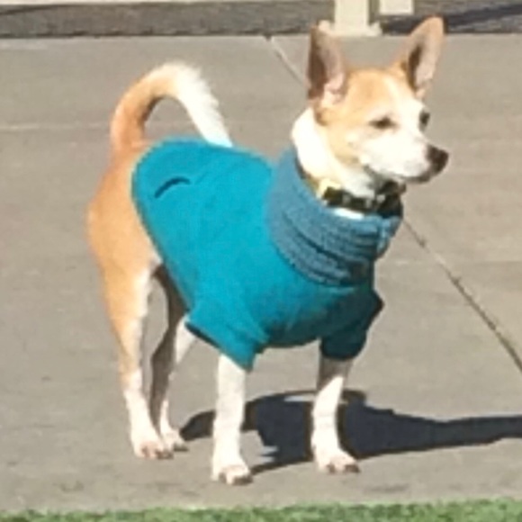 B2GO on $6 or less items or 3* items = 20% off!🔻 - Picture 5 of 5